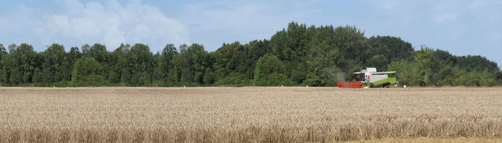 COMSTOCK FARMERS Mutual Insurance